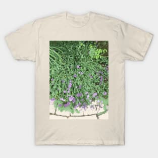 Painted Chives, green purple beige, digitally modified photography T-Shirt